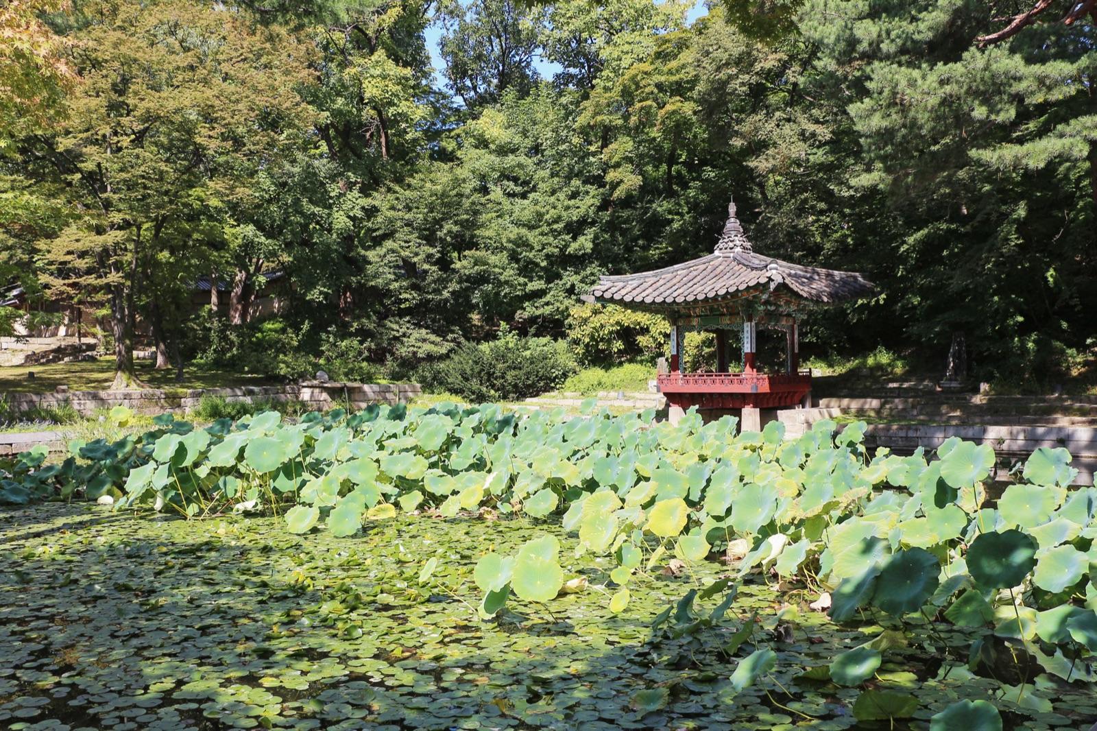 Aeryeonji Pond and Aeryeonjeong Pavilion in Huwon Garden, Seoul